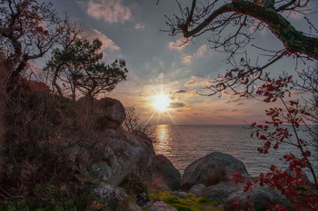 Осенний мотив / Крым Ласпи