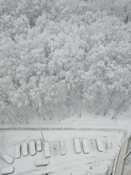 Февральская стужа / Дыхание февраля.