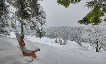 Зимняя скамейка / Снежная зима