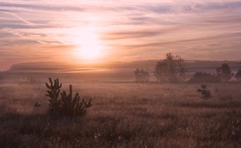 Тепло / Нежный восход в Рязанской области.