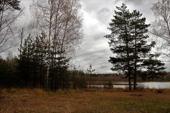 Осень на озере / Озеро Манёнок в Подмосковье. Вода имеет цвет чая, прозрачная...