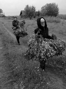 &nbsp; / снимок на мобильный, 2011 г.