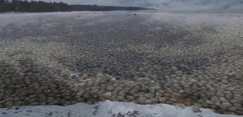 Ледяная кладка / В начале зимы на Финском заливе