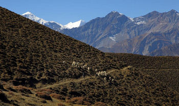 Нижний Мустанг / Непал, Гималаи