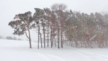 &nbsp; / снег идет