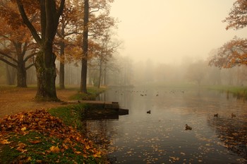 Осень... / Александровский парк...