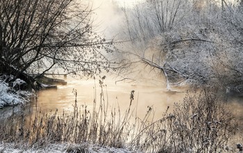 золото и серебро / ***