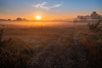 Рассвет / dawn