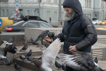 &nbsp; / вариант в цвете