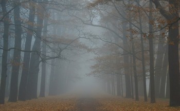 Осенняя прогулка... / Екатерининский парк