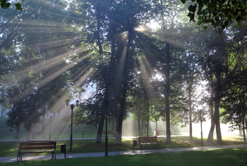 Солнечный не зайчик / Туманное утро в парке Пушкина