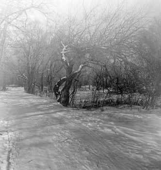 Сонная Лощина... / Rollei RPX 100/120 B&amp;W