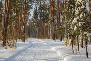 &nbsp; / лесопарк Лебяжье,Татарстан