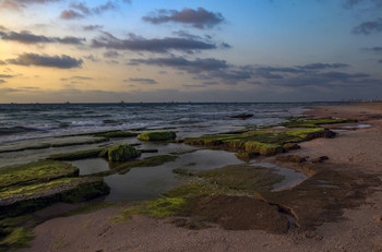 &nbsp; / Cредиземное море,Израиль