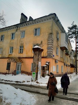 Весна в городе. / Сосенки нашли место повыше, чтобы не затоптали.