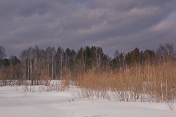 Скоро весна. / Томская область.