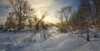 Зимним солнечным утром... / Тула, Тулица