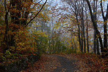 Осенний променад...... / Железноводск. Октябрь