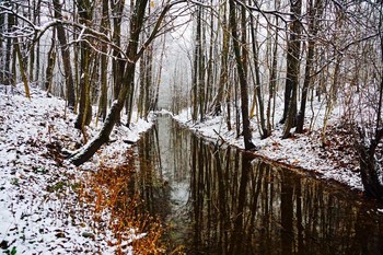 Видимо невидимо / пейзаж, природа, осень, отражение, снег,