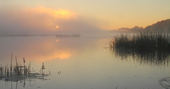 Красивое озеро Исток туманным утром. / Осенние туманы.