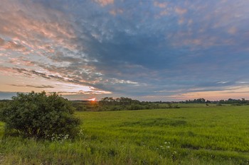 Солнечный привет лета / Рассветные сюжеты.