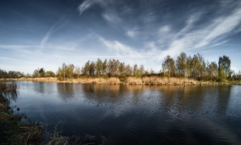 Весенний берег Случи / Прогулка по берегу