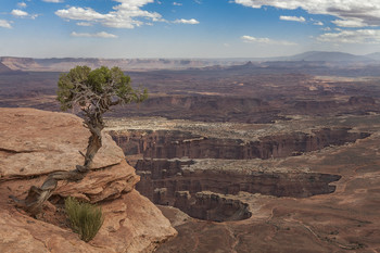 &nbsp; / Национальный парк Каньонлэндс (Canyonlands). Расположен в междуречье Грин-Ривер и Колорадо. Здесь множество ущелий, гор и речных долин, которые являются частью пустынного ландшафта. Ущелья парка по своим размерам ненамного уступают Гранд-Каньону.