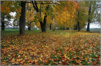 Осень в парке / Осенним днём в Дисненском парке