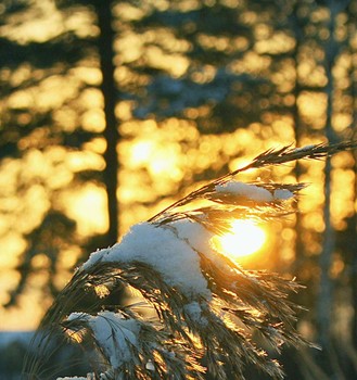 Снег и солнце. / Вечная борьба света и тьмы, тепла и холода.