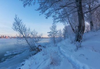 Зимняя тема. / Московская область, город Дубна, берег реки Волга. 
25 Января. 2019 г.