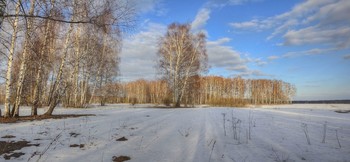 Мартовский вечер / Московская обл.