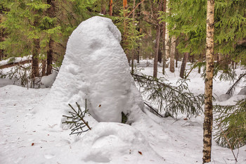 Снежные заносы в лесу. / СНЯТО ЗИМА 2019.Г СНЕЖНЫЕ ЗАРИСОВКИ. В ПНУ. КУЧКИ СНЕГА ГОЛОВА СМОТРИТ НАПРАВО.