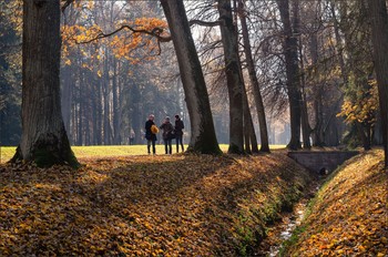 В осеннем парке Ораниенбаума. / Октябрь 2018.