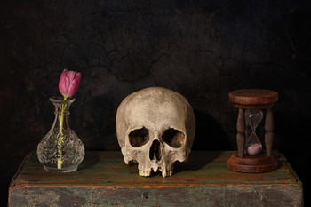 Vanitas / Still life with skull