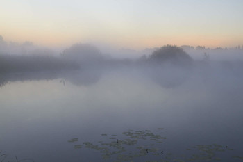 Туманное утро / Рассвет,туман,озеро