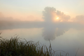 Туманное утро / рассвет,озеро,туман