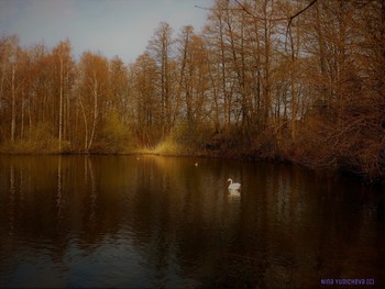 Außenmühlenteich Hamburg / Необыкновенно красивое место отдыха в Гамбурге Außenmühlenteich. Это искусственное озеро в районе Гамбург-Хагбург (Hamburg-Harburg) длиной около 1 км и шириной 250 метров. На южноми западном берегах озера находится гороской парк района Харбург, на восточном берегу озера раскинулся роскошный развлекательный комплекс MidSommerland с бассейнами, кафе, местом для гриля. Вокруг озера &quot;дорога здоровья&quot; для любителей бега, пеших и велосипедных прогулок составляет 5 км. Чайки, лебеди, гуси, канадские казарки, камышницы и лысухи обитают на этом озере . Подробнее в моем блоге:
http://fotokto.ru/blogs/aussenmhlenteich-hamburg-harburg-32611.html