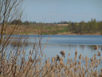 А верба над грай-водою / село Жорновка, сычевский район, смоленская область
http://wikimapia.org/#lang=ru&lat=55.890235&lon=34.453640&z=13&m=ys