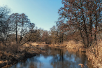 Птичь / Река Птичь (Беларусь) в конце марта.
