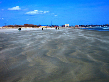 Ветренный день / Утро на пляже у океана. Ветер гонит песок как зимняя позёмка