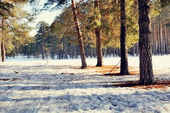 Призраки весны / ...