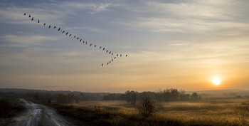 В окружении / утро,туман,солнце,охота