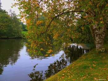 Hamburg. Alsterdorf / У каждого дерева своё лицо
Альбом «Очарование осени»: http://fotokto.ru/id156888/photo?album=61610#pageUp