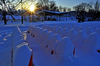 в зимнем парке / снег