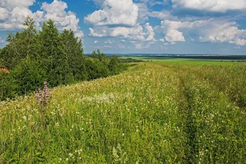 &nbsp; / окрестности с.Камаево,Татарстан