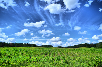 &nbsp; / Облака