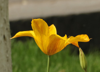 Размахнись, рука, раззудись, плечо... / ...танцевать хочу и еще кой-чё...