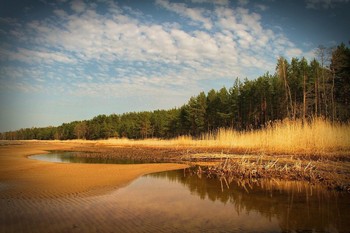 Берег / Пярнушки