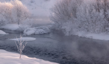 Неподвластная морозам. / ***