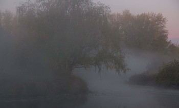 &nbsp; / туман,дерево,озеро